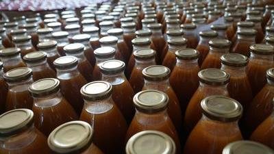 Вопросы развития горно-долинного садоводства в Дагестане обсудили в Ботлихском районе