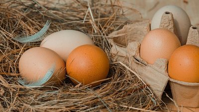 В новгородской рознице средняя цена на яйца снизилась на 4,2%