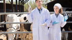 Минсельхоз предложил компенсировать госветслужбам расходы на целевое обучение студентов