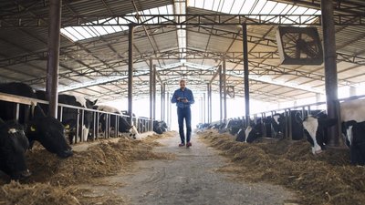 В 2024 году в Удмуртии планируют построить и реконструировать 45 ферм на 11,4 тыс. ското-мест
