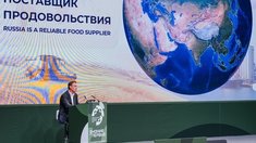Россия поставляет агропродовольствие в 160 стран и нацелена на экспорт в 55 млрд долларов к 2030 году