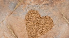 За 2025 год сельхозорганизации Оренбургской области реализовали 1 млн т пшеницы