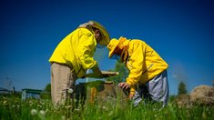 В Башкортостане стартовала операция «Пчела»