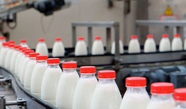 Объём реализации молока в сельхозорганизациях вырос на 3%