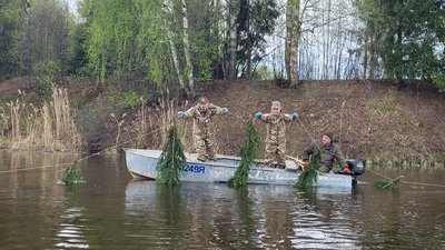В рамках всероссийской экологической акции «Все на нерест» в Ярославском регионе установили 2680 искусственных нерестилищ 
