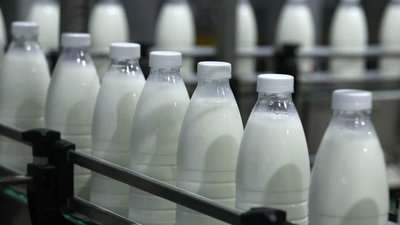 Подмосковье заняло первое место в России по экспорту кисломолочной продукции