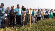 В Красноярском крае завершился краевой сельскохозяйственный форум «День поля 2026»