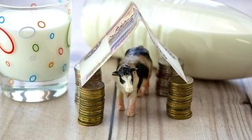 Волгоградская область произвела 468,5 тыс. тонн молока за девять месяцев