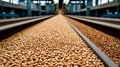 Курская область наращивает экспорт зерновых: рост более чем в 10 раз