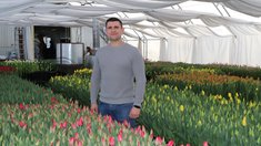 80 тысяч тюльпанов вырастил фермер из Липецкой области к Международному женскому дню