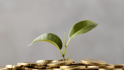 На развитие АПК и сельских территорий Дагестана в 2022 году было направлено 2,3 млрд руб. господдержки