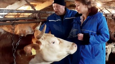 В Подмосковье организовали 489 новых рабочих мест в сфере АПК