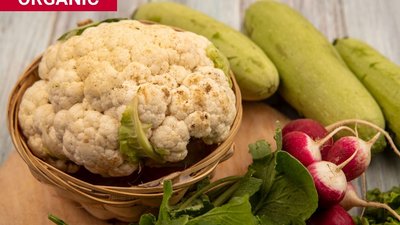 Рост потребления органической продукции в РФ в прошлом году составил 12%