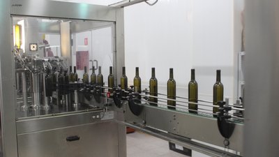 Виноделы Дона увеличили объемы производства своей продукции