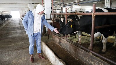 Более 80 млн рублей направлено на развитие семейных ферм в Кузбассе