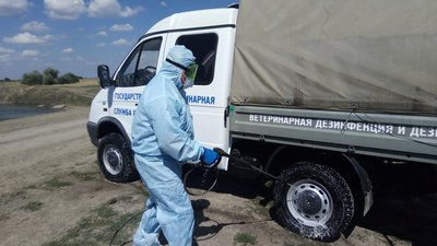С начала года для донских ветврачей провели более сотни учений по ликвидации особо опасных болезней животных