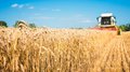На Ставрополье собрано более 8 млн т зерна