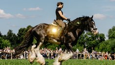 Около 18 тыс. гостей посетили «Праздник русских традиций на родине тяжеловоза» в Ивановской области