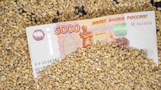 В РФ установлены предельные уровни цен для закупочных интервенций зерна до 2027 года