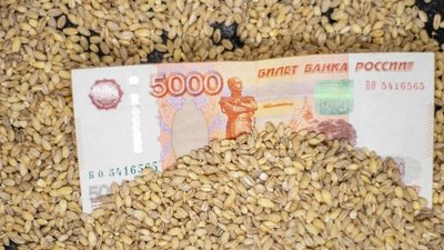 Получателям господдержки АПК в Калининградской области перечислено 709,1 млн руб.