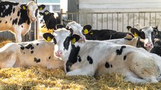 Грант помог семье из Томской области расширить фермерское хозяйство