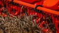 Зерновые и зернобобовые культуры в Липецкой области обмолочены на 70% от площади посевов