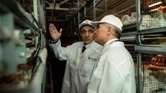 Агрохолдинг CHUVA вложил 1,2 млрд рублей в запуск третьей птицеводческой площадки в Чувашии