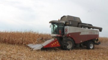 В Липецкой области начали уборку кукурузы с урожайностью 90 центнеров с гектара