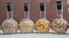 Доля отечественных семян в АПК РФ в 2025 году достигла 69,3%