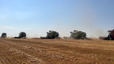 В Татарстане намолотили 2 млн тонн зерна