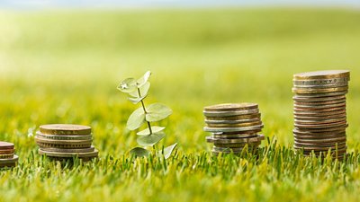 На грантовую поддержку СХТП Оренбургской области выделено 274 млн руб.
