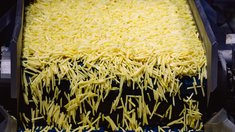 Практически весь замороженный картофель страны производится в Липецкой области