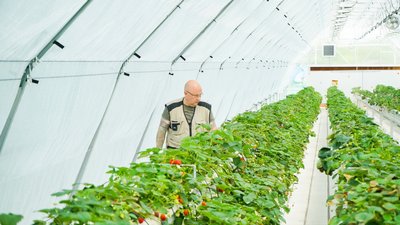 В Ивановской области стартует набор слушателей в «Школу фермера»