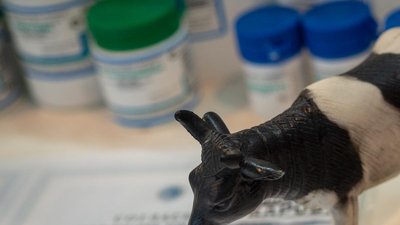 В России проект по аккредитации ветлабораторий продлят на 2024 год