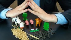 За 11 месяцев российские аграрии получили более 8 млрд руб. страховых выплат