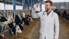 Трудоустройство выпускников Тимирязевской академии превысило 80%