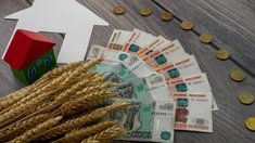 На 9,9% больше субсидий на развитие АПК и сел Красноярского края доведено до получателей в 2025 году 