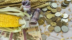 На поддержку забайкальского АПК и сельских территорий в 2026 году направят 832 млн руб.