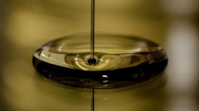 Обзор потребительских цен на топливо в Нижегородской области