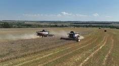 В Башкортостане намолотили полмиллиона тонн зерна