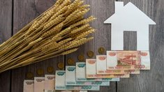 В Мордовии на развитие АПК и сел в 2026 году предусмотрено 2,2 млрд руб.