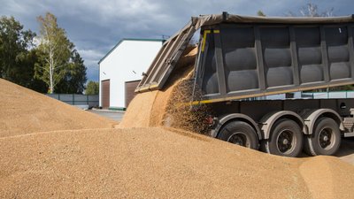 Пять округов Кузбасса провели уборку зерновых более чем на 90 %