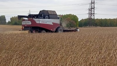 Уборочная кампания в Томской области приближается к «экватору»