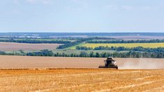 Урожай зерна в Саратовской области приближается к 4 млн тонн