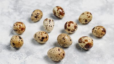 В России есть спрос на нишевые яйца