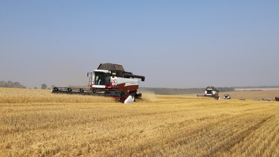 В Красноярском крае собрали более 1,3 млн тонн зерна с 60% площадей
