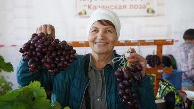 В Татарстане за первую ярмарочную неделю реализована продукция на сумму 56,9 млн рублей