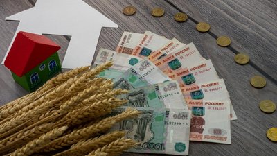 Аграриям Новосибирской области перечислено более 3 млрд руб. господдержки