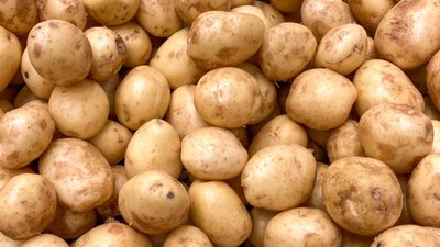 Свердловская область на 95,4% обеспечена овоще- и картофелехранилищами