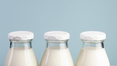 Костромские сельхозорганизации увеличили производство молока на 7,2%